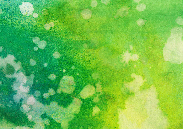 istock Vibrant hand painted green and yellow abstract background 507690410