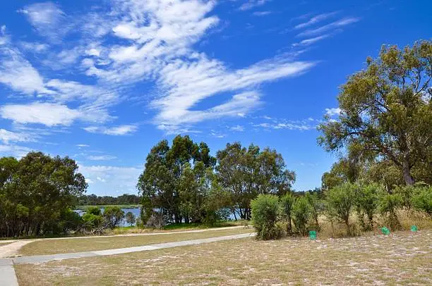 Pedestrian paths at the Bibra Lake Reserve with green tree and plants in the sparse landscape and a hint of the wetland water under a blue sky with clouds in Western Australia.