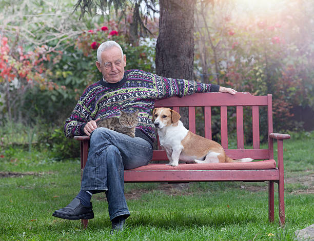 istock Senior man with dogs and cat 507705424