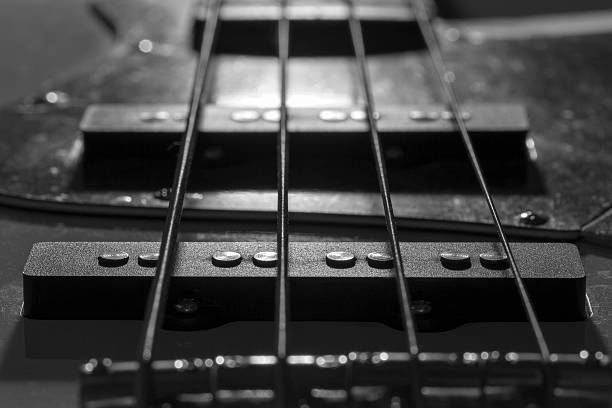 istock Bass Guitar Pickups 507705834