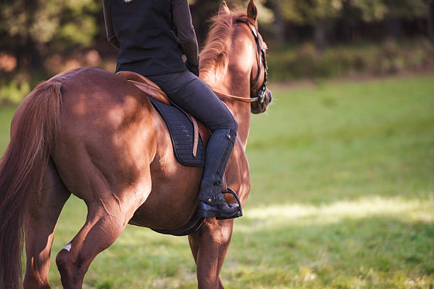 istock Woman riding horse 507705870