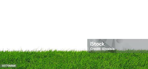 Green Grass Stock Photo - Download Image Now - Grass, Cut Out, White Background