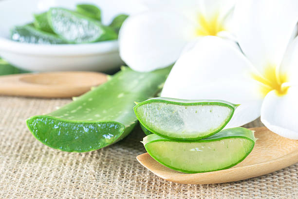 istock Aloe Vera use in spa for skin care 507707296
