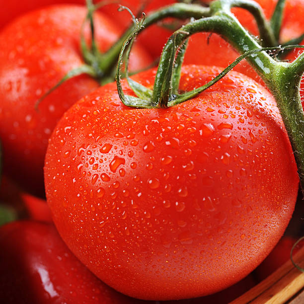 istock vegetables in the basket 507710354