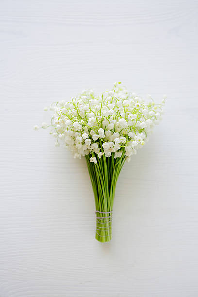 istock spring lilies of the valley 507710916