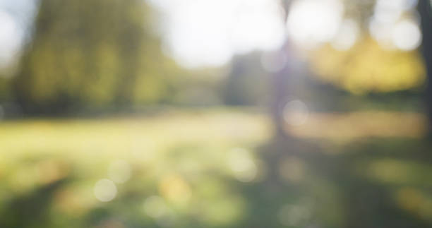 istock blurred background of autumn park 507711024