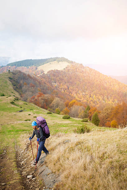 istock Tourist with a backpack is on a forest trail. 507713242