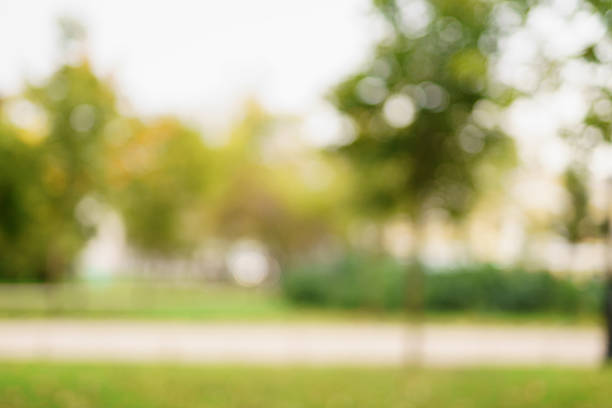 istock blurred bokeh background of autumn park 507714174