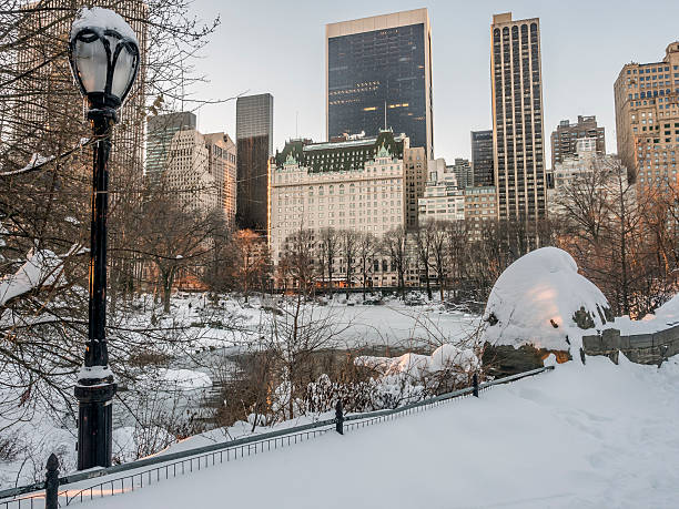 istock Gapstow bridge Central Park, New York City 507715114