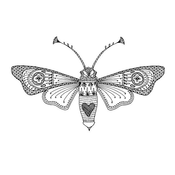 Butterfly moth black hand-drawn adult coloring book design vector art illustration