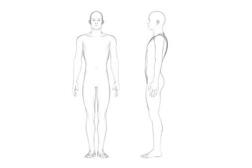 3D illustration of  human body shape (male).