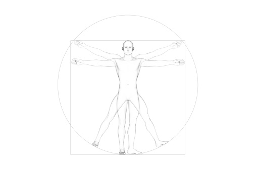 3D illustration of  human body shape (male). Copied Leonardo Da Vinci's \