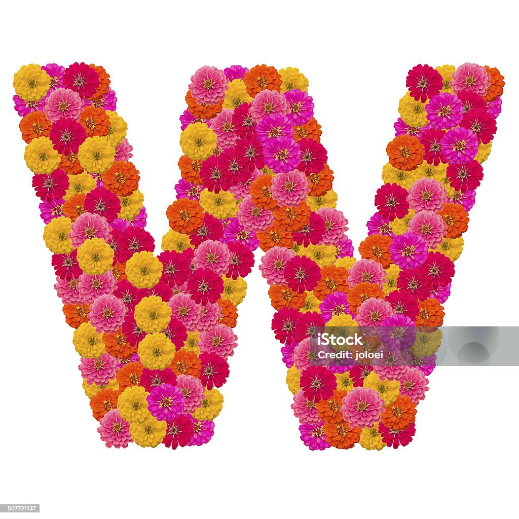 Zinnias flower letter Alphabet Stock Photo