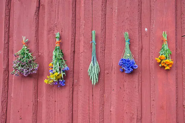 fresh summer healthy  medical flowers bunch on red wooden wall, Wheat, cornflower, calendula,marigold, wild marjoram