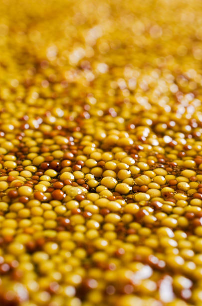 Background of seeds of mustard Background of whole seeds of mustard with liquid. Selective focus. dijonnaise stock pictures, royalty-free photos & images