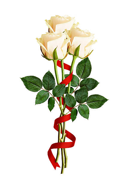Bunch of roses and textured blank envelope isolated on white background. Studio shot.