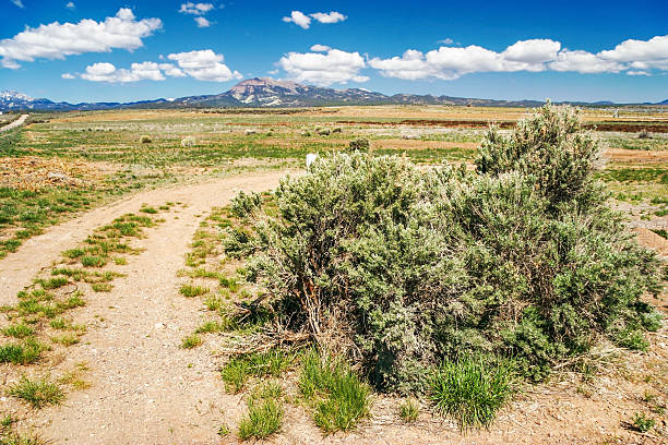 istock Landscape of Utah state. USA 507748255
