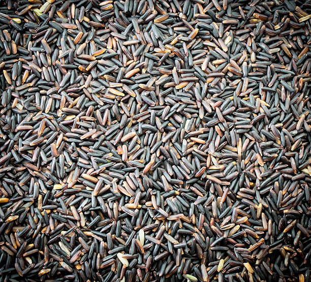 istock Black rice Thailand (Berry rice), organic rice 507749378