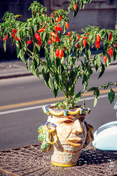 Sicilian ceramic moorish heads with pepper plant
