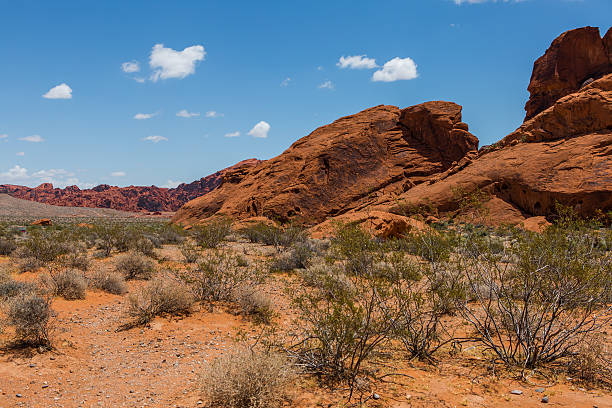 istock Valley of Fire. Nevada USA 507750230