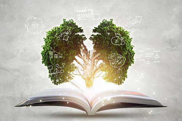 istock Book of growing knowledge with brains big tree. 507751870