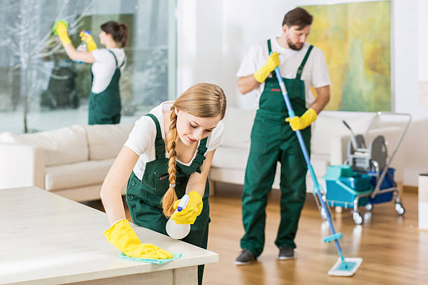 istock Our mission is to clean! 507753210