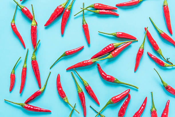 istock Vibrant red chili on blue background 507753226