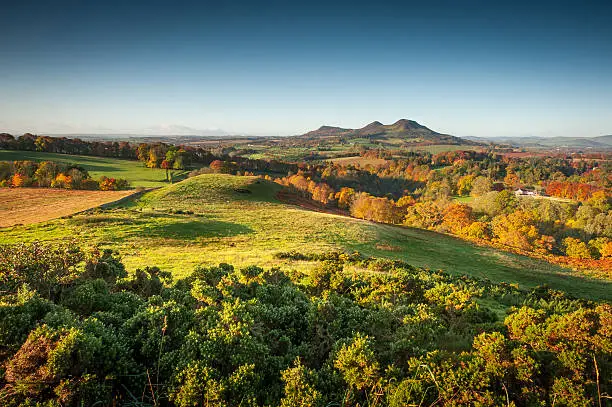 The rolling autumn hills of the Scottish Borders