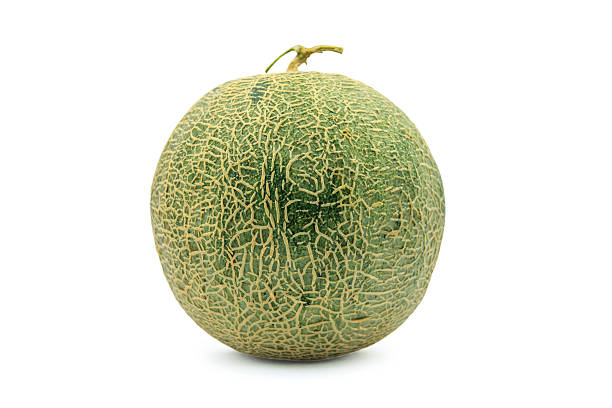 istock melon from Japan isolated on white background 507754360