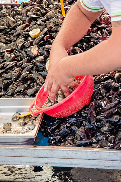 mussels in Catania city open market, Sicily stock photo