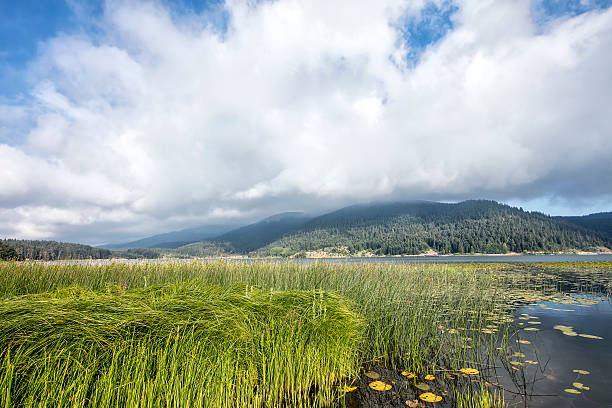 istock Lake Abant, Bolu - Turkey 507754994