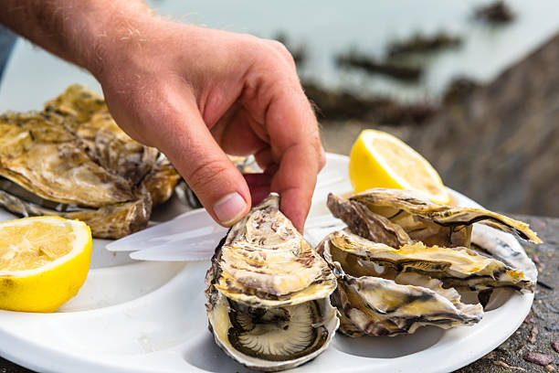 Male hand holding oysters