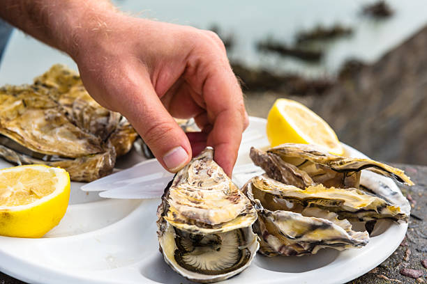 Male hand holding oysters Male hand holding oysters on a plastic plate near the sea cancale photos stock pictures, royalty-free photos & images