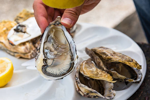 istock Male hand holding oysters 507757570