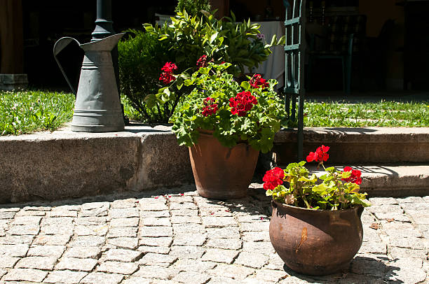 istock Corner of home garden 507758250