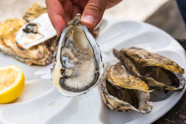 istock Male hand holding oysters 507759894