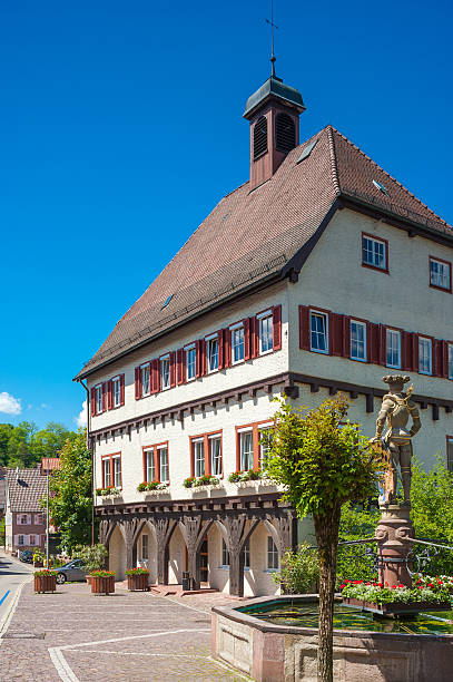 istock The Old Town Hall in Wildberg 507760150