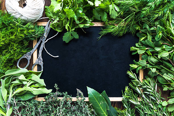 istock Many garden herbs and copy text space, from above 507760260