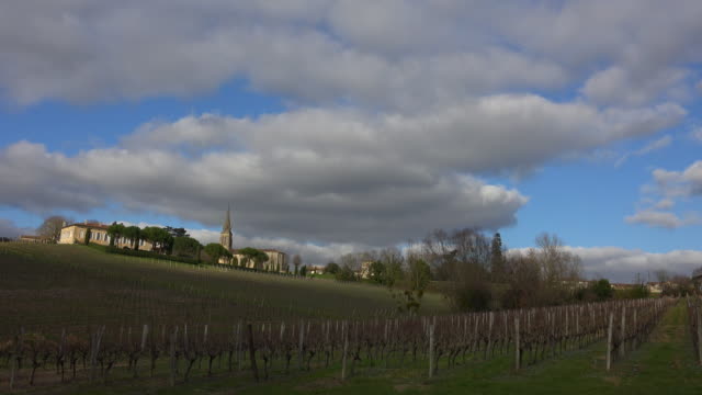 Vineyard Sunrise - Landscape-Bordeaux Vineyard