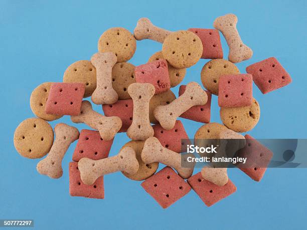 Assorted Shaped Dog Biscuits Stock Photo - Download Image Now - Animal, Animal Bone, Blue Background