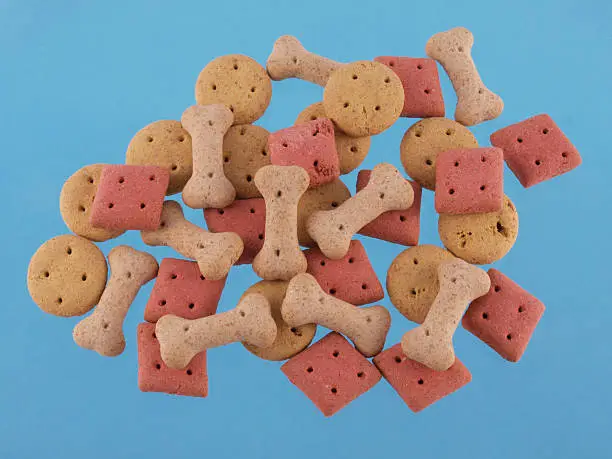 Close up of assorted shaped dog biscuits on a blue background.