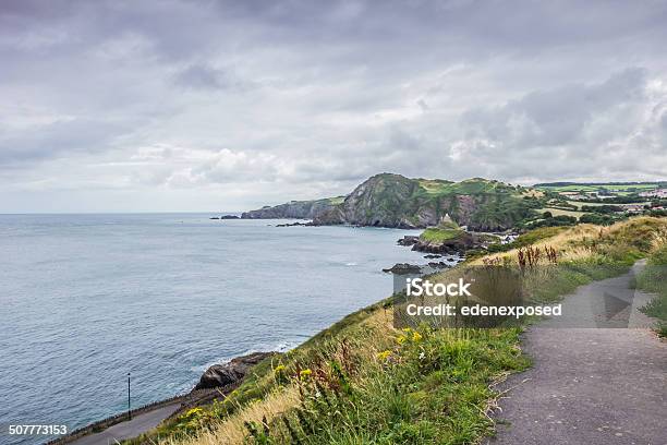 Coast Path In Devon Stock Photo - Download Image Now - Coastline, Devon, England