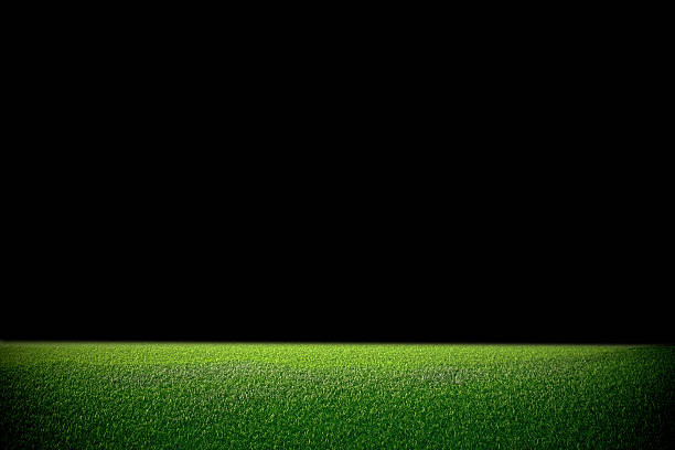 istock Image of stadium in dark. background green lawn 507774445
