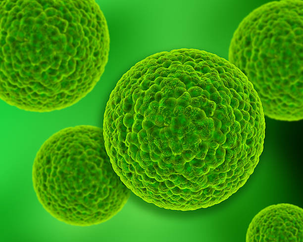 istock 3D medical background with virus cells 507774573