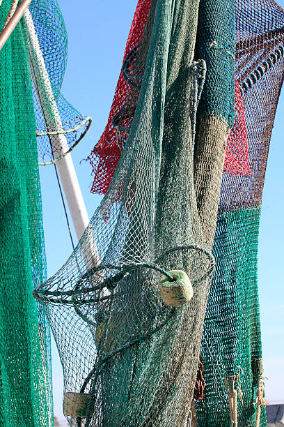 istock Commercial Fish Nets Hanging from the Ships Mast and Rigging 507788426