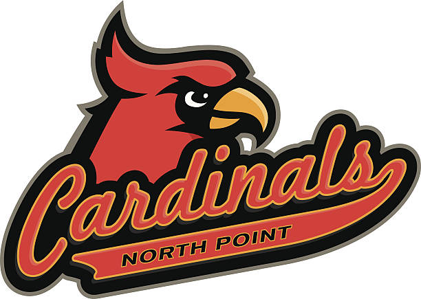 Cardinals Logo Perfect for any cardinals sports team. Head and word mark can separate to form two separate logos. Customize with your own colors and text. cardinal mascot stock illustrations