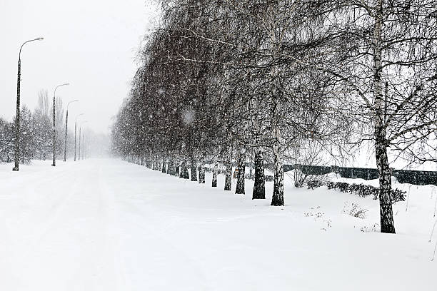 istock Winter alley with snow falling 507791360