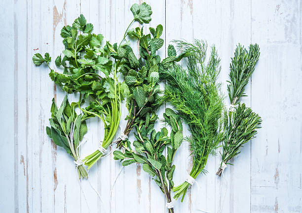 istock Aromatic herbs and spices from garden 507791786