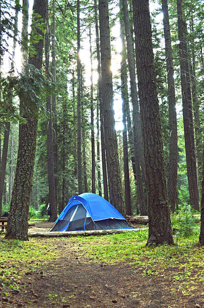 istock Rimrock Lake Camping 507792023