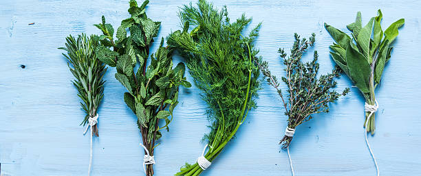 istock Healthy and aromatic herbs and spices 507793064